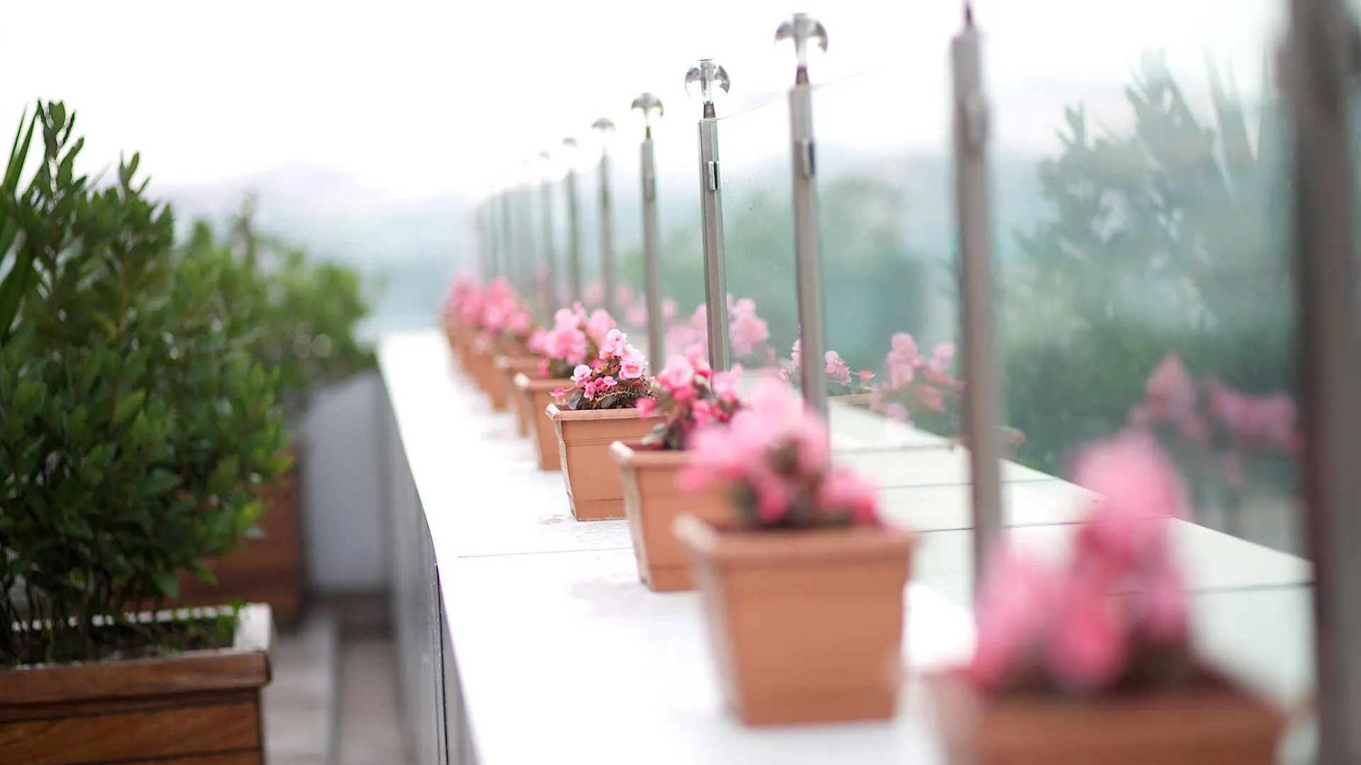 Boutique Princess Hotel İstanbul Türkiye